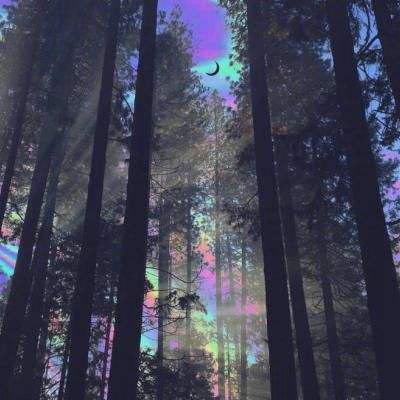 幻兽起始手游下载