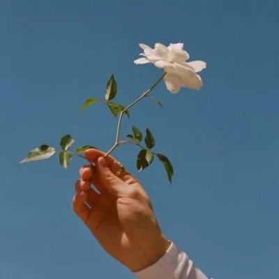 天通一号03星成功发射