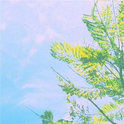 诸仙奇迹果盘版下载